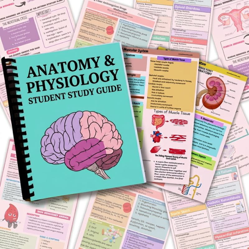 Anatomy and Physiology Student Study Guide-Studyflax