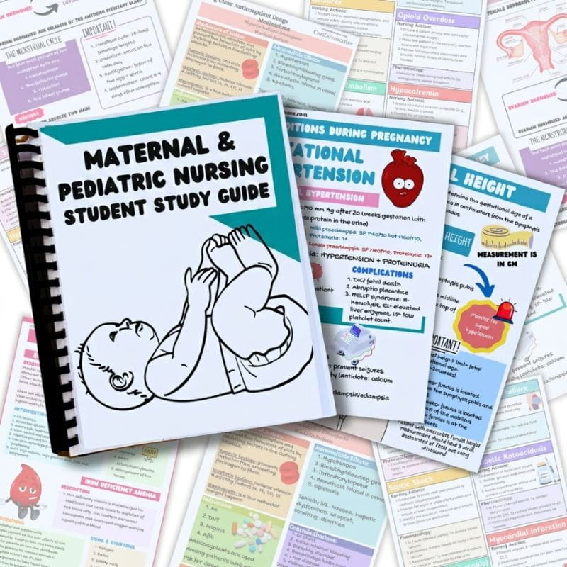 Maternal and Pediatric Nursing Student Study Guide-Studyflax