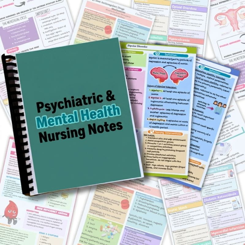 Psychiatric and Mental Health Nursing Notes-Studyflax